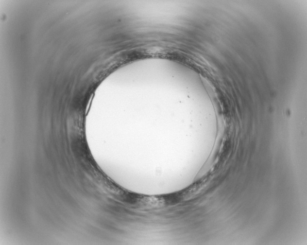 X0000088580421200706221321