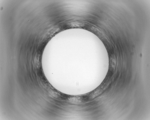 X0000088580422200706221321