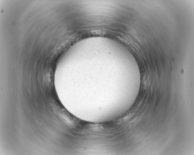 X0000088580424200706221321