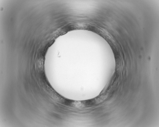 X0000088580425200706221321