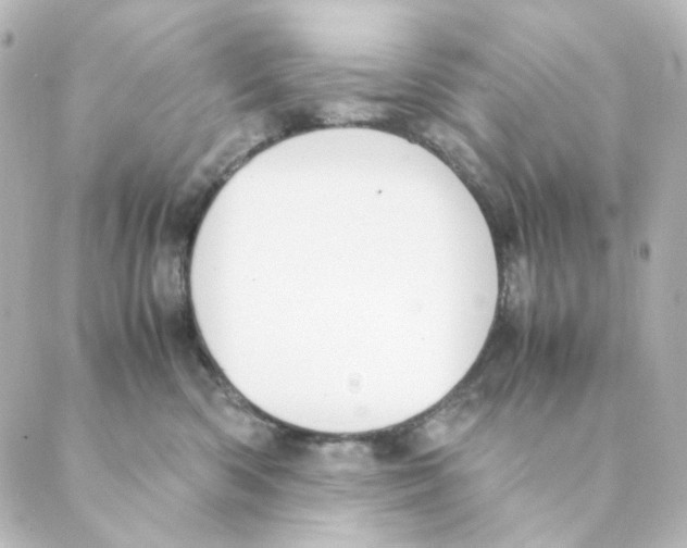 X0000088580426200706221321