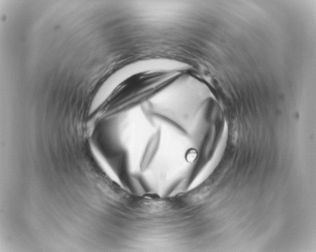 X0000088580428200706221321