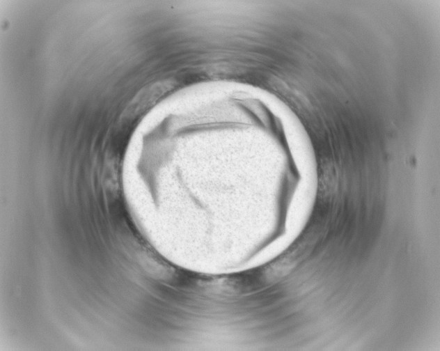 X0000088580430200706221321