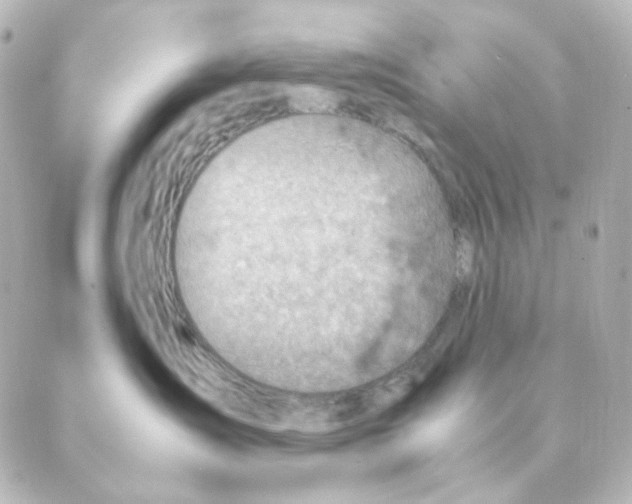 X0000088580431200706221321