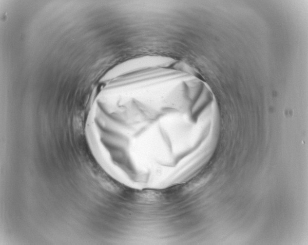 X0000088580432200706221321