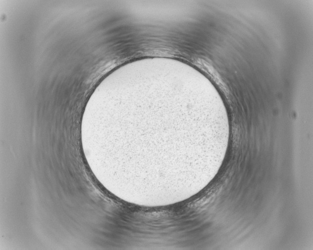 X0000088580433200706221320