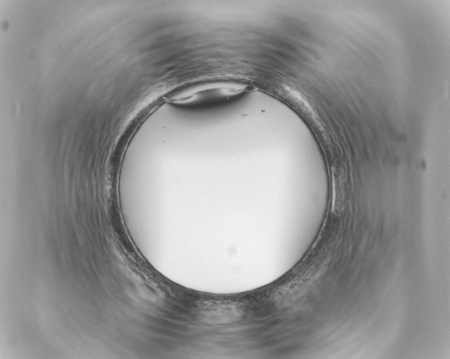 X0000088580435200706221320