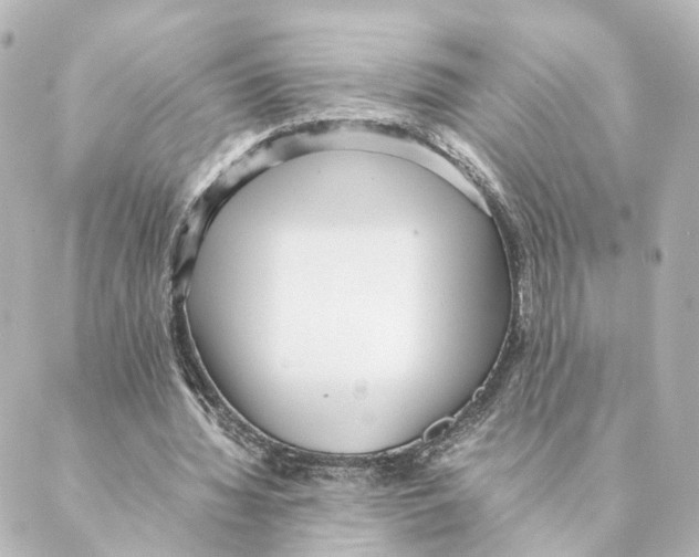 X0000088580436200706221320