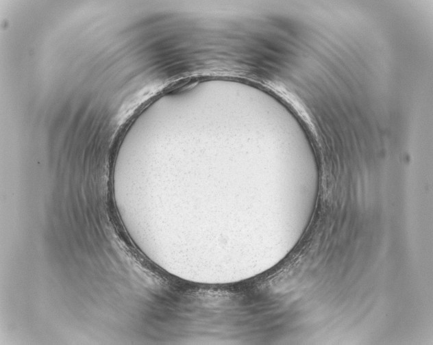 X0000088580437200706221320