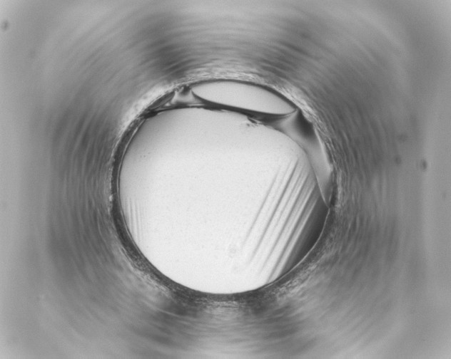 X0000088580438200706221320