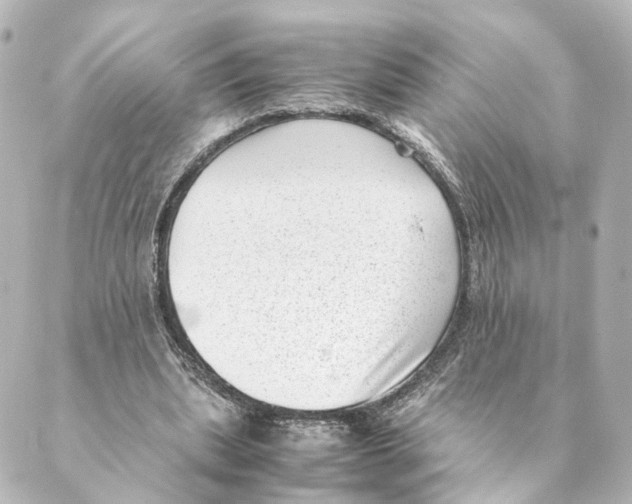 X0000088580439200706221320