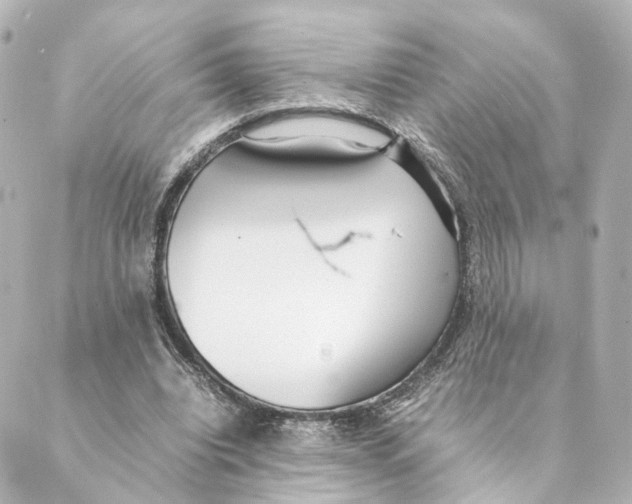 X0000088580440200706221320