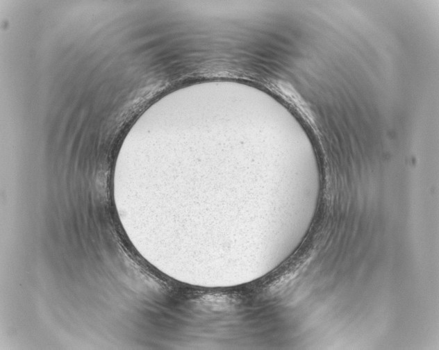 X0000088580441200706221320