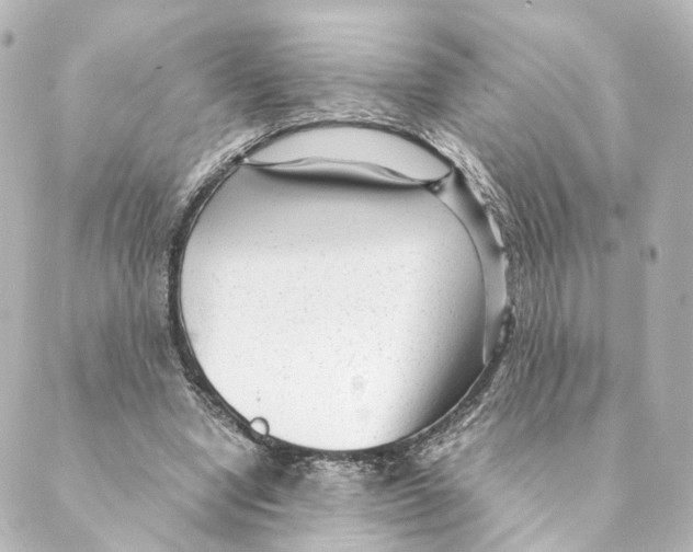 X0000088580442200706221320