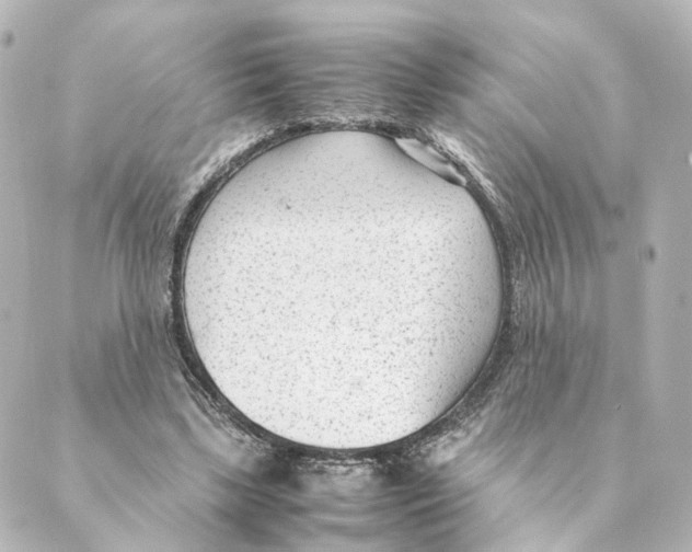 X0000088580443200706221320