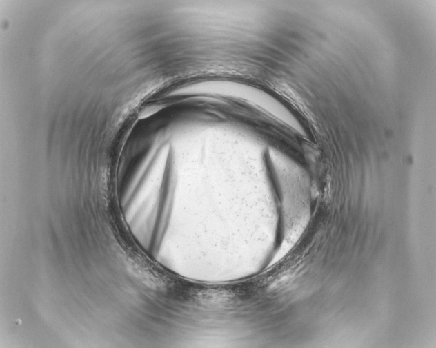 X0000088580444200706221320