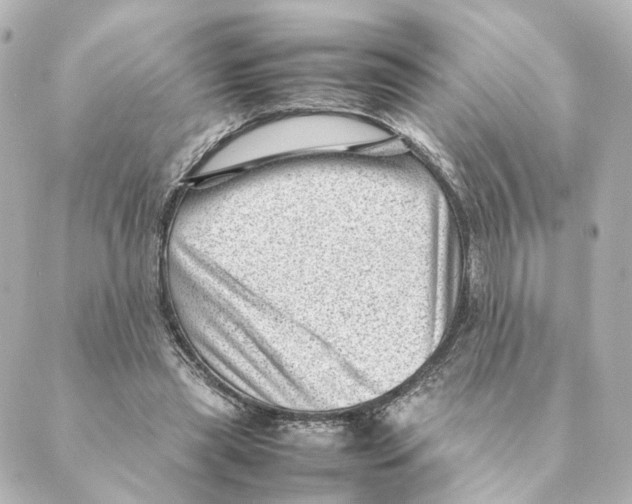 X0000088580445200706221320