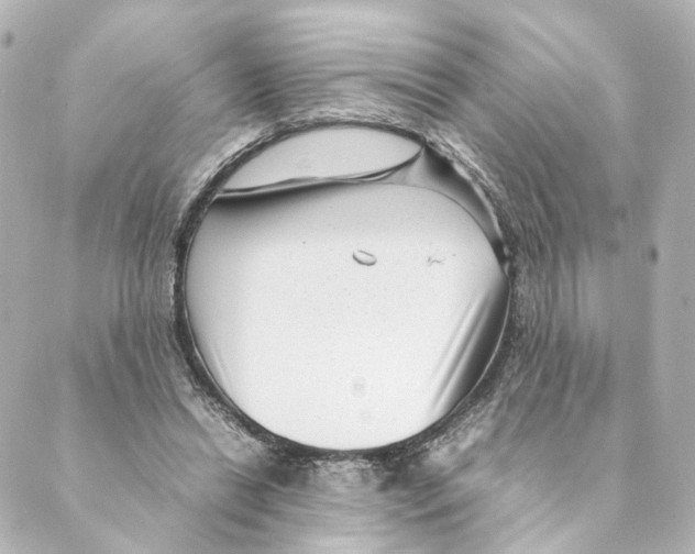 X0000088580446200706221320