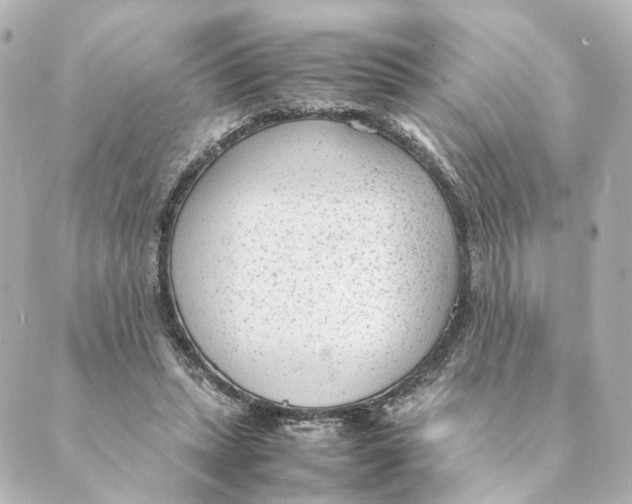 X0000088580447200706221320