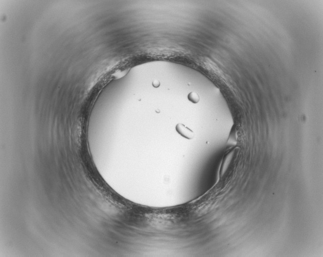 X0000088580448200706221320