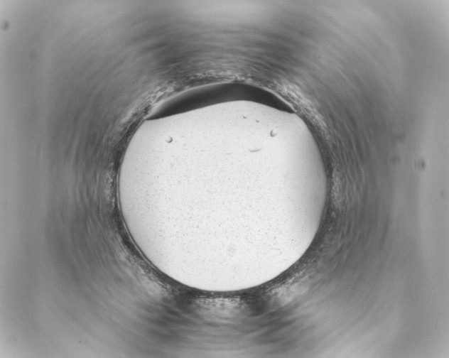 X0000088580449200706221320