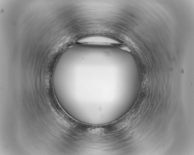 X0000088580452200706221320