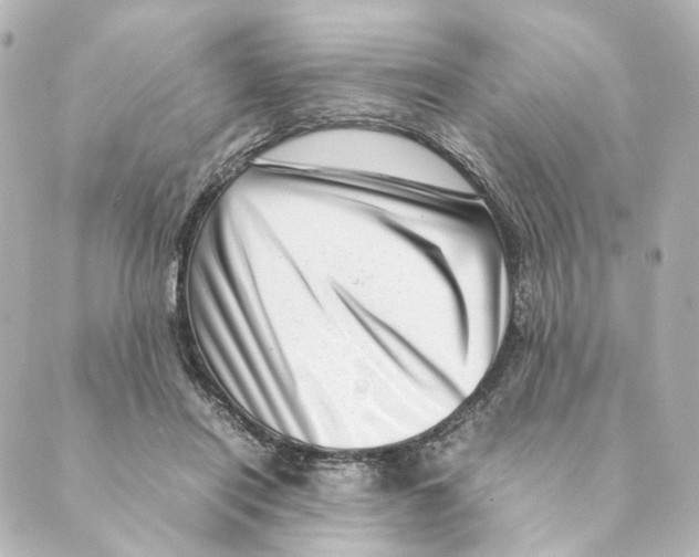 X0000088580454200706221320