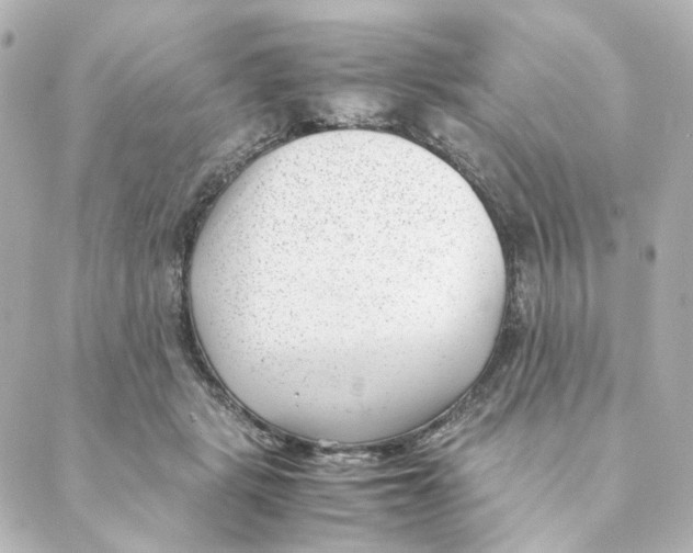 X0000088580461200706221320