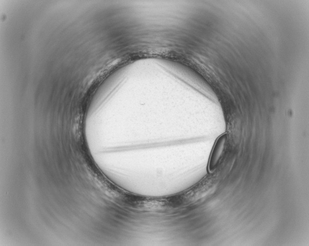 X0000088580462200706221320