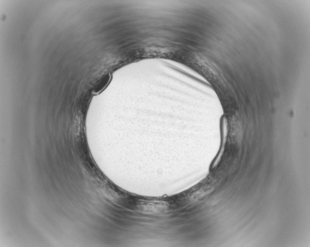 X0000088580463200706221320