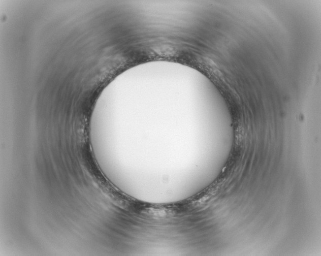 X0000088580464200706221320