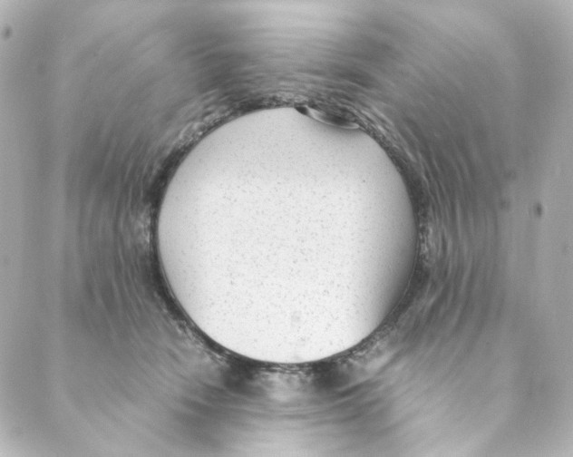 X0000088580466200706221320