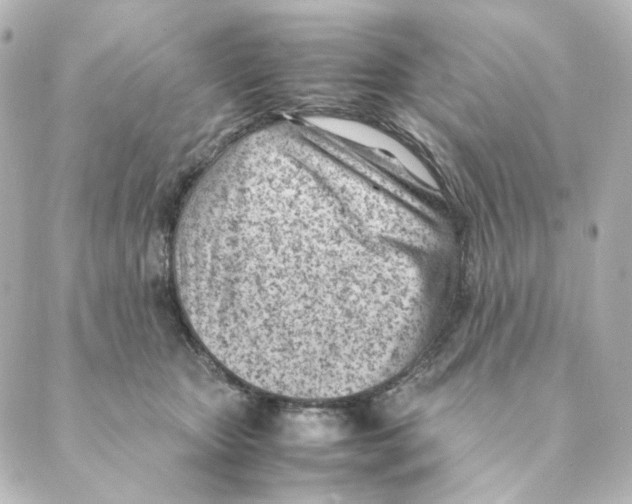 X0000088580467200706221320