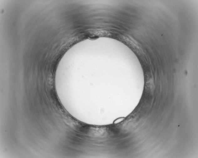 X0000088580469200706221320