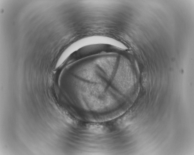 X0000088580471200706221320