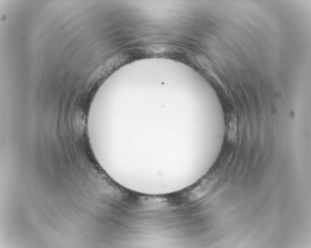 X0000088580476200706221321