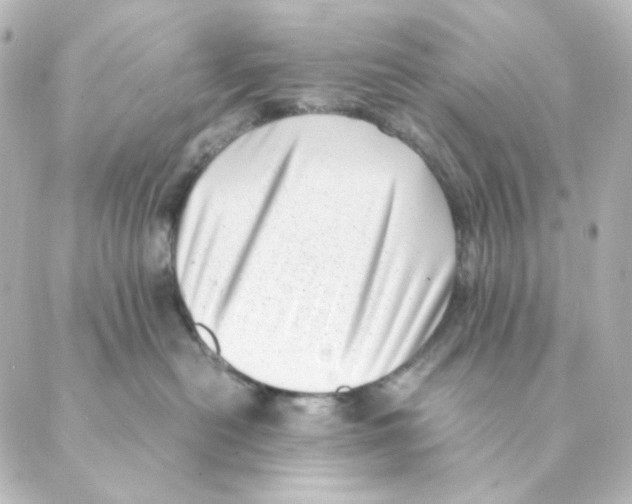 X0000088580478200706221321