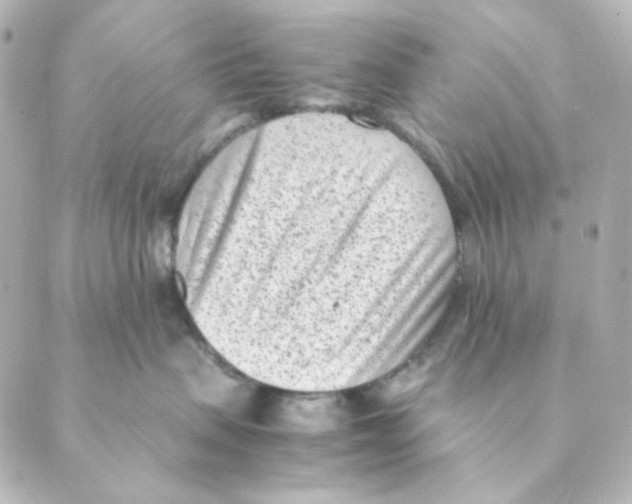 X0000088580479200706221321