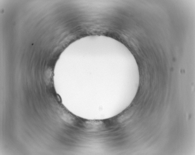 X0000088580480200706221321