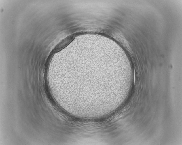 X0000088580483200706221320