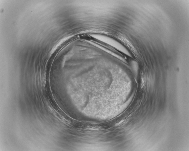 X0000088580484200706221320