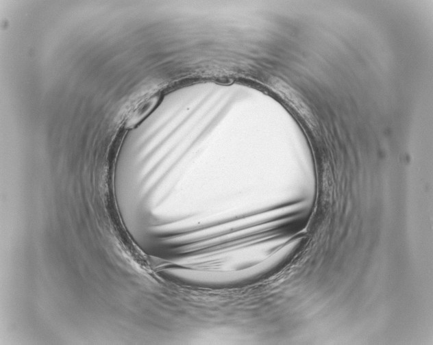 X0000088580485200706221320