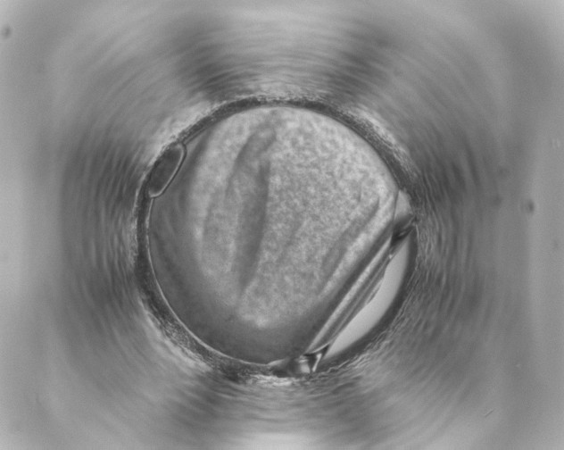 X0000088580488200706221320