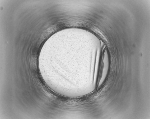 X0000088580489200706221320