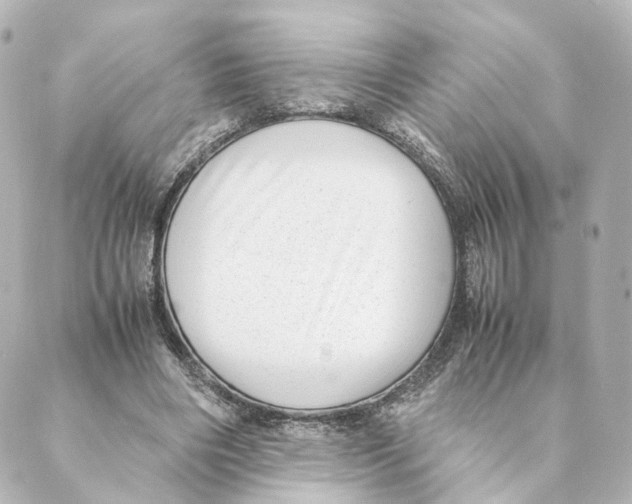 X0000088580490200706221320