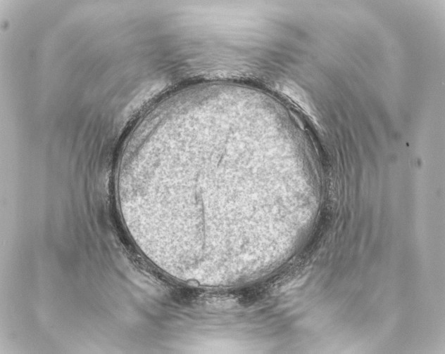 X0000088580491200706221320