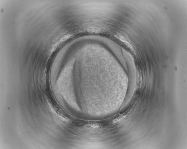 X0000088580492200706221320