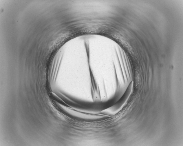 X0000088580493200706221320