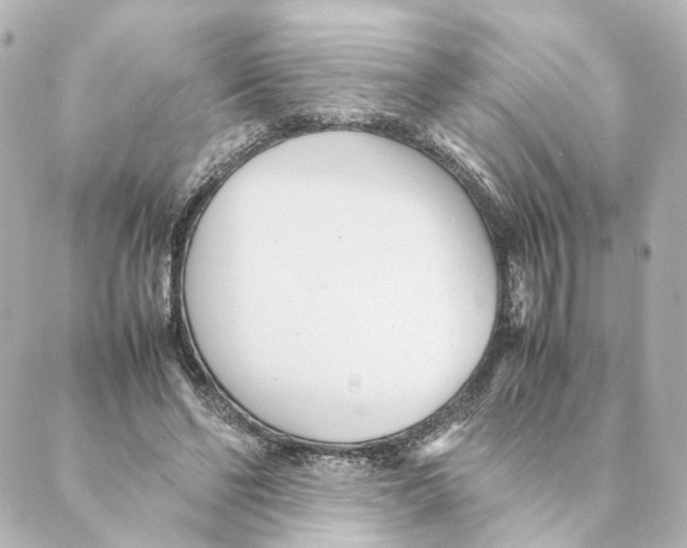 X0000088580494200706221320