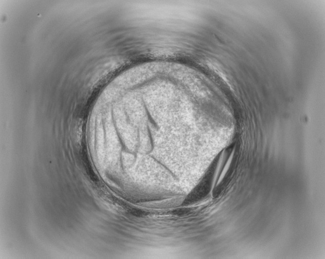 X0000088580495200706221320